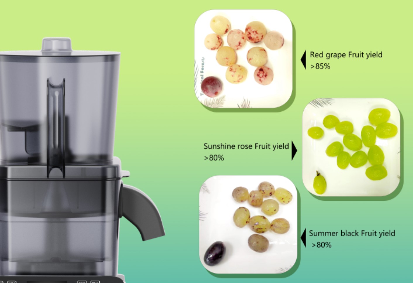 Commercial Fruit Peeler